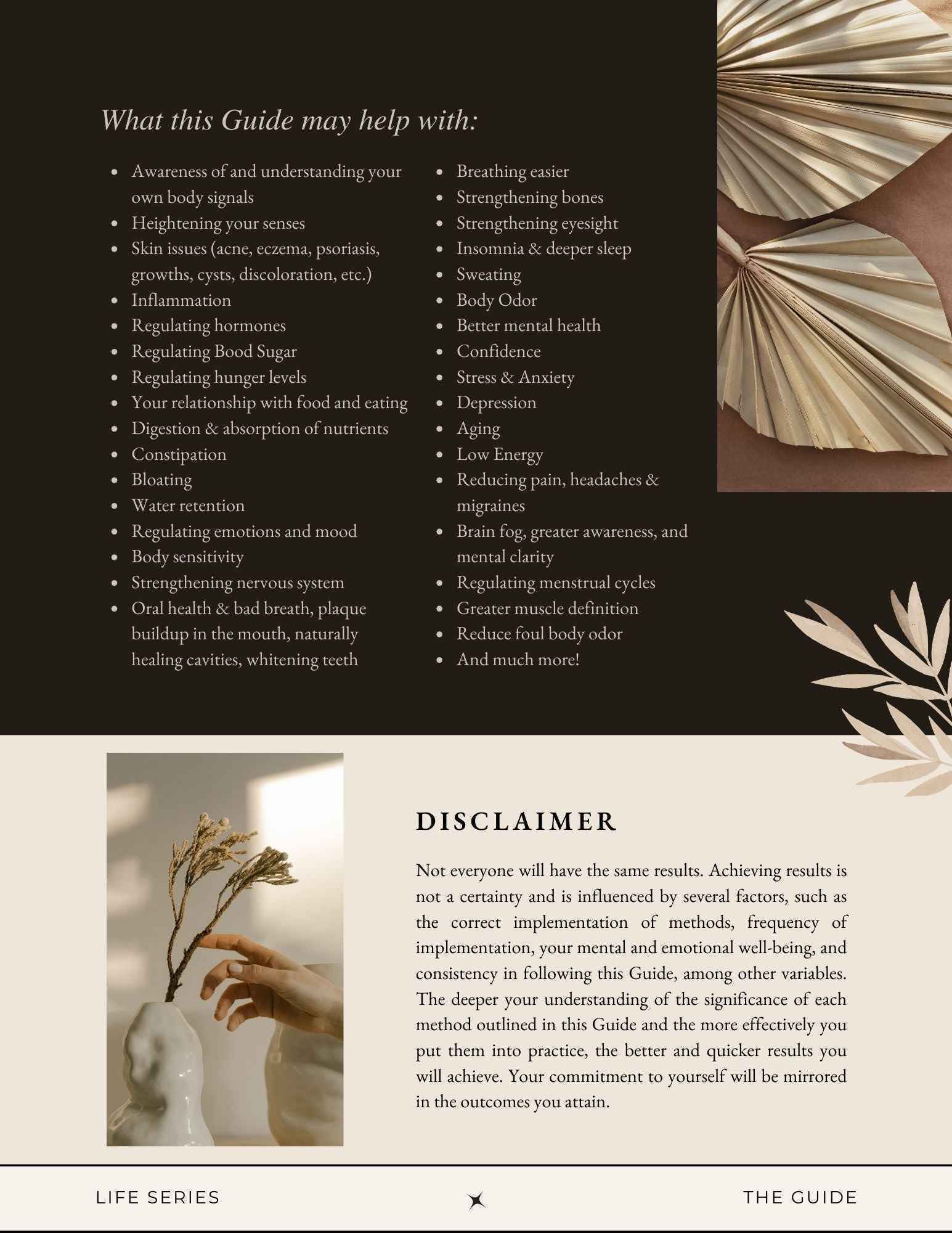 THE LIFE GUIDE [DIGITAL BOOK]